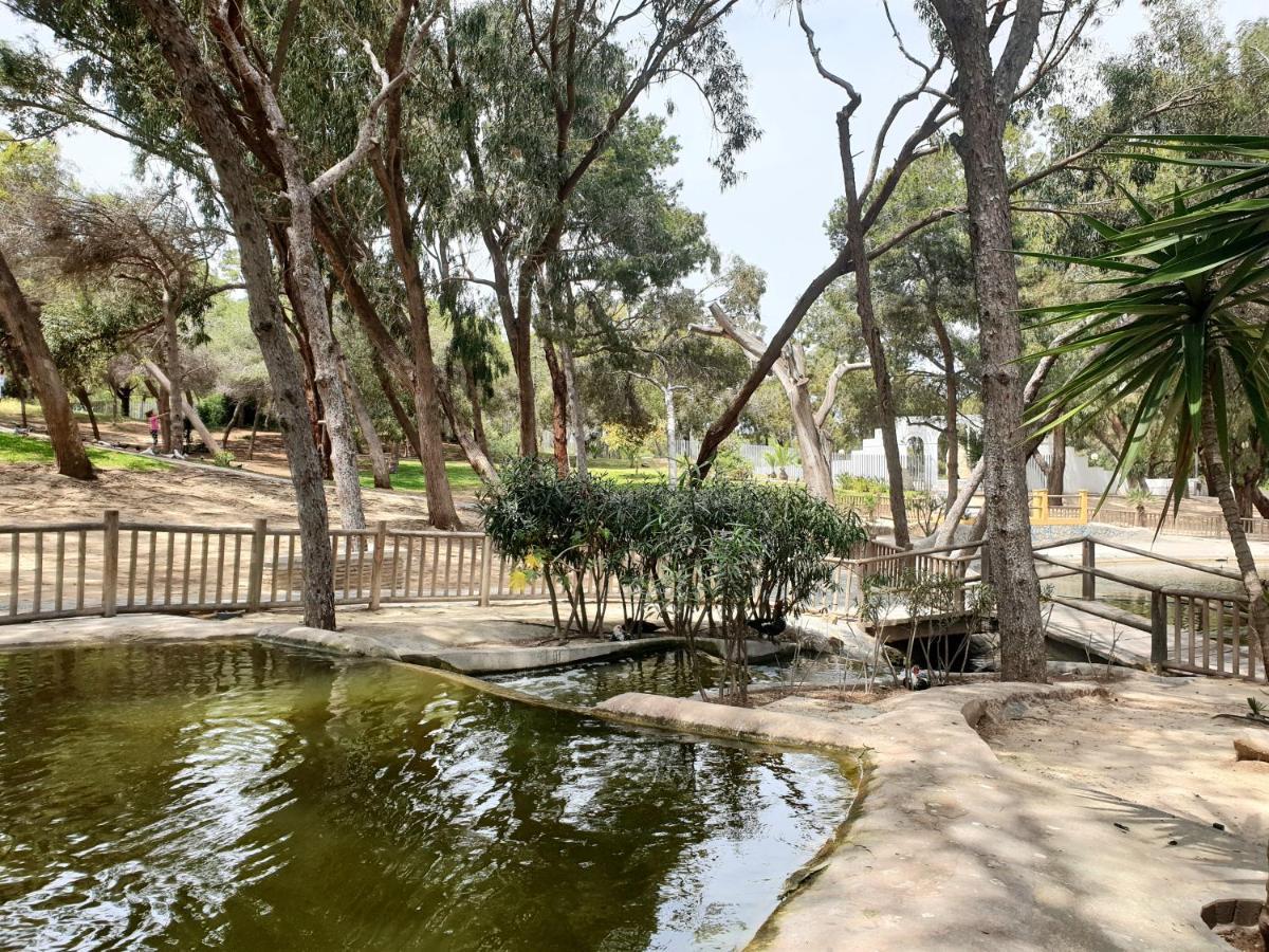 Apartment Parque Sur *